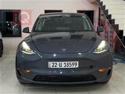 تسلا موديل Y